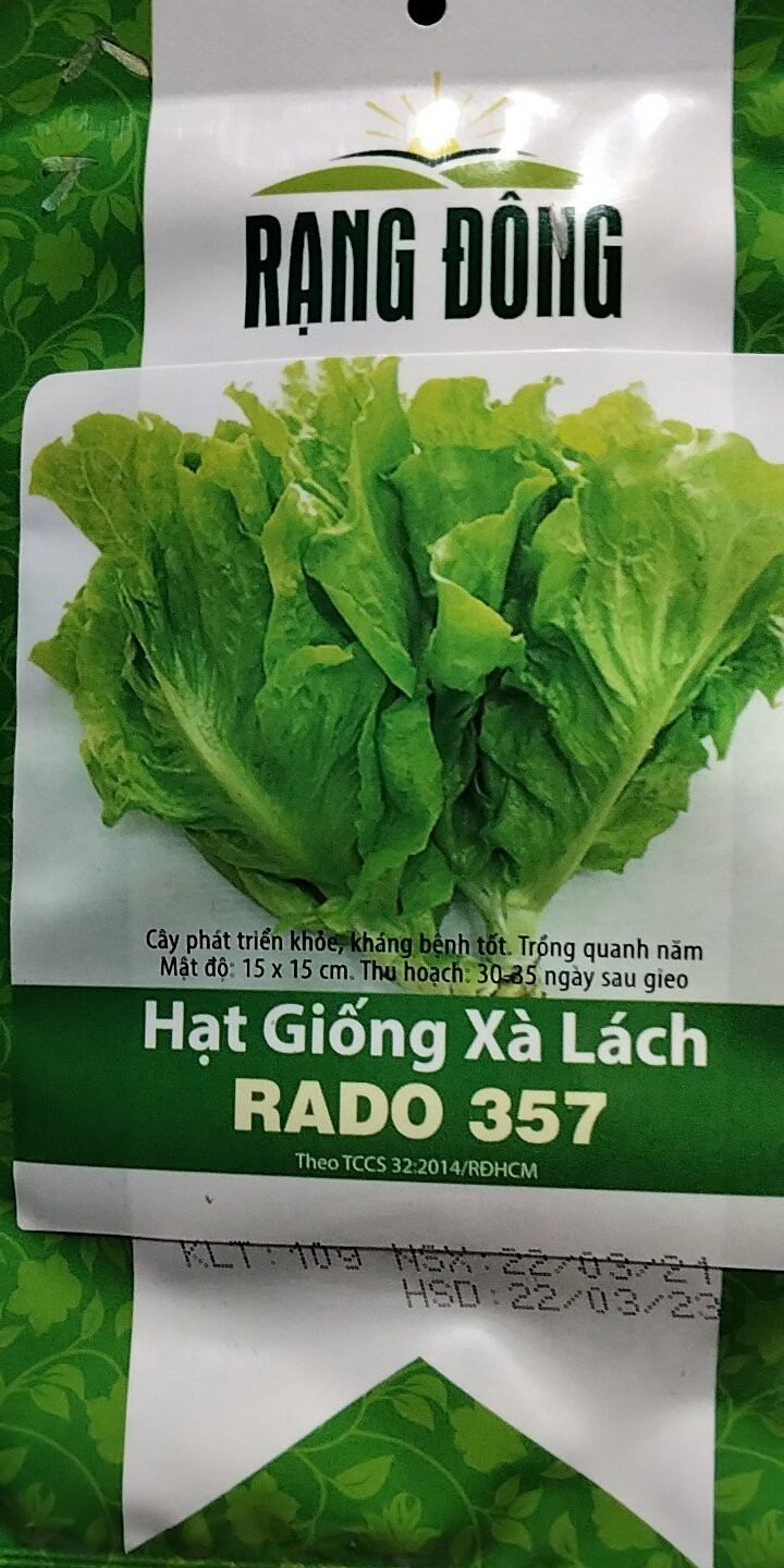 Hạt giống xà lách mỡ