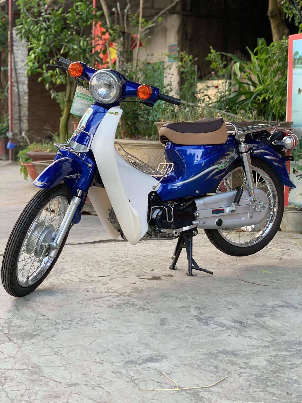 pha đèn trước 81 đời mới
