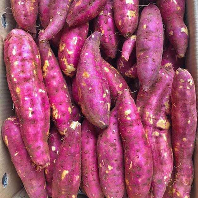 Khoai Lang Nhật củ Thon Dài 1kg