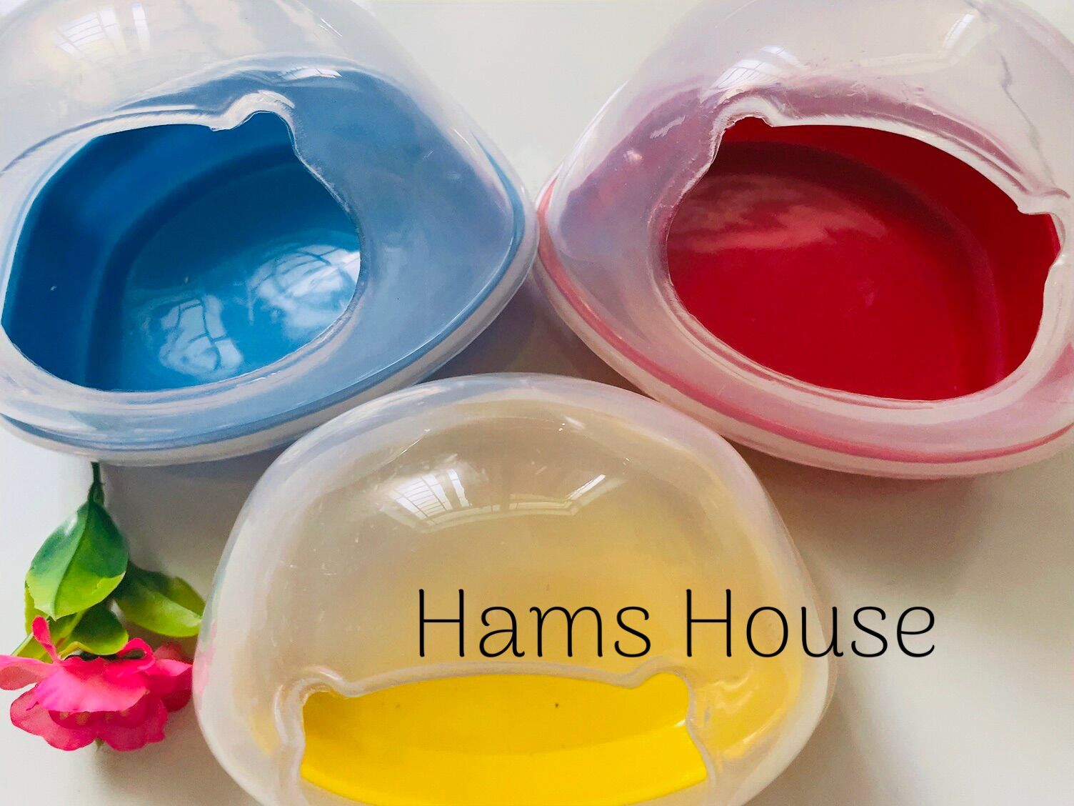 Nhà tắm lớn cho hamster