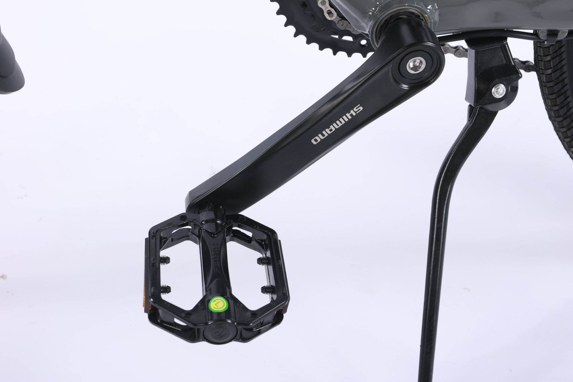 chevaux HK pro