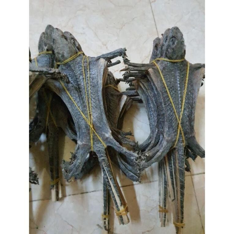 3 CON TẮC KÈ KHÔ