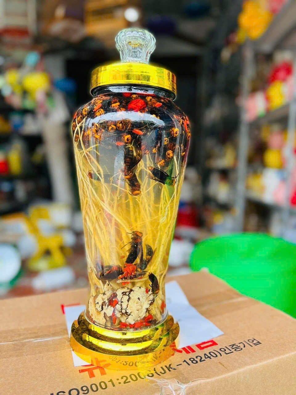 Ong đất ngâm sẵn