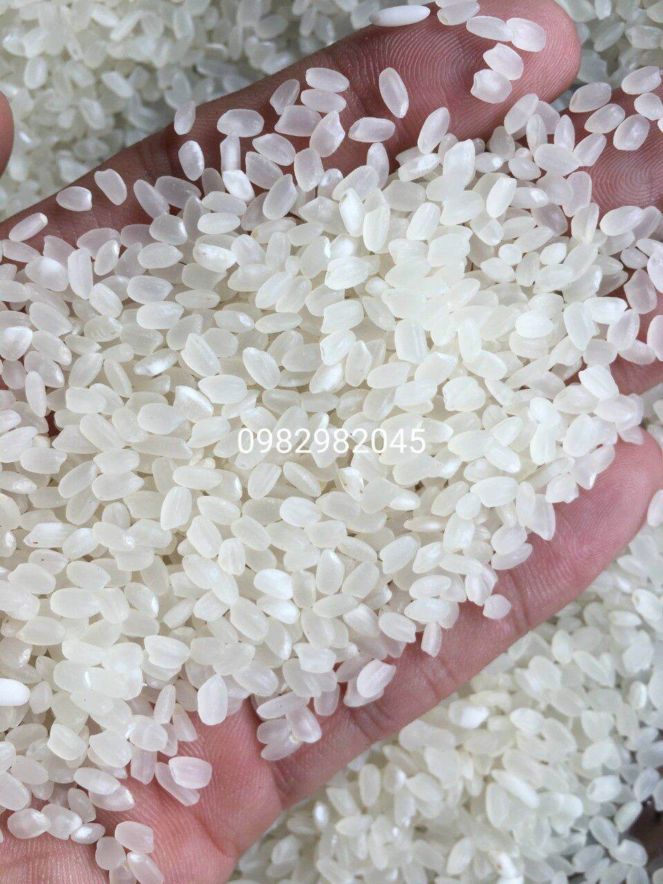 [HCM]gạo Nhật bao 3kg bao ăn thơm ngon loại 1