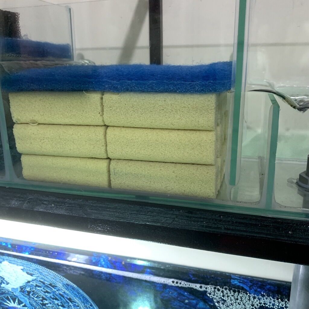 Củ lọc sứ trụ sen