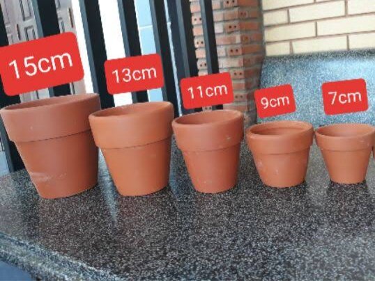 Chậu đất nung size miệng 11 cm