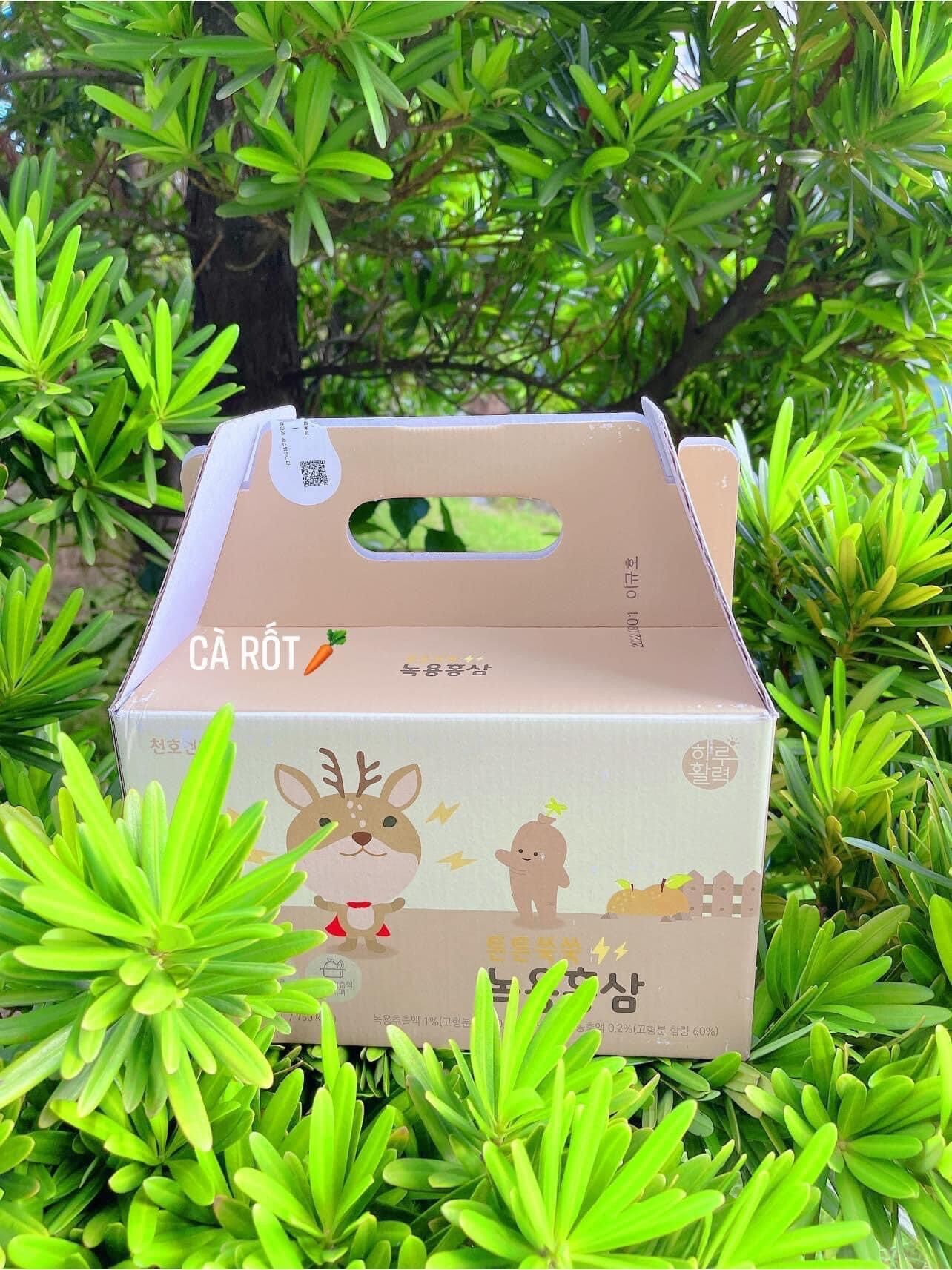 Hồng Sâm baby
