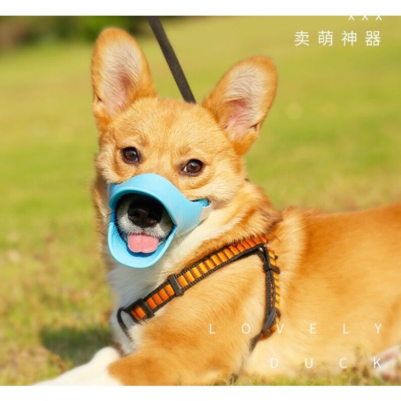Rọ mõm chó,rọ mõm vịt, bịt miệng chó vịt dễ thương