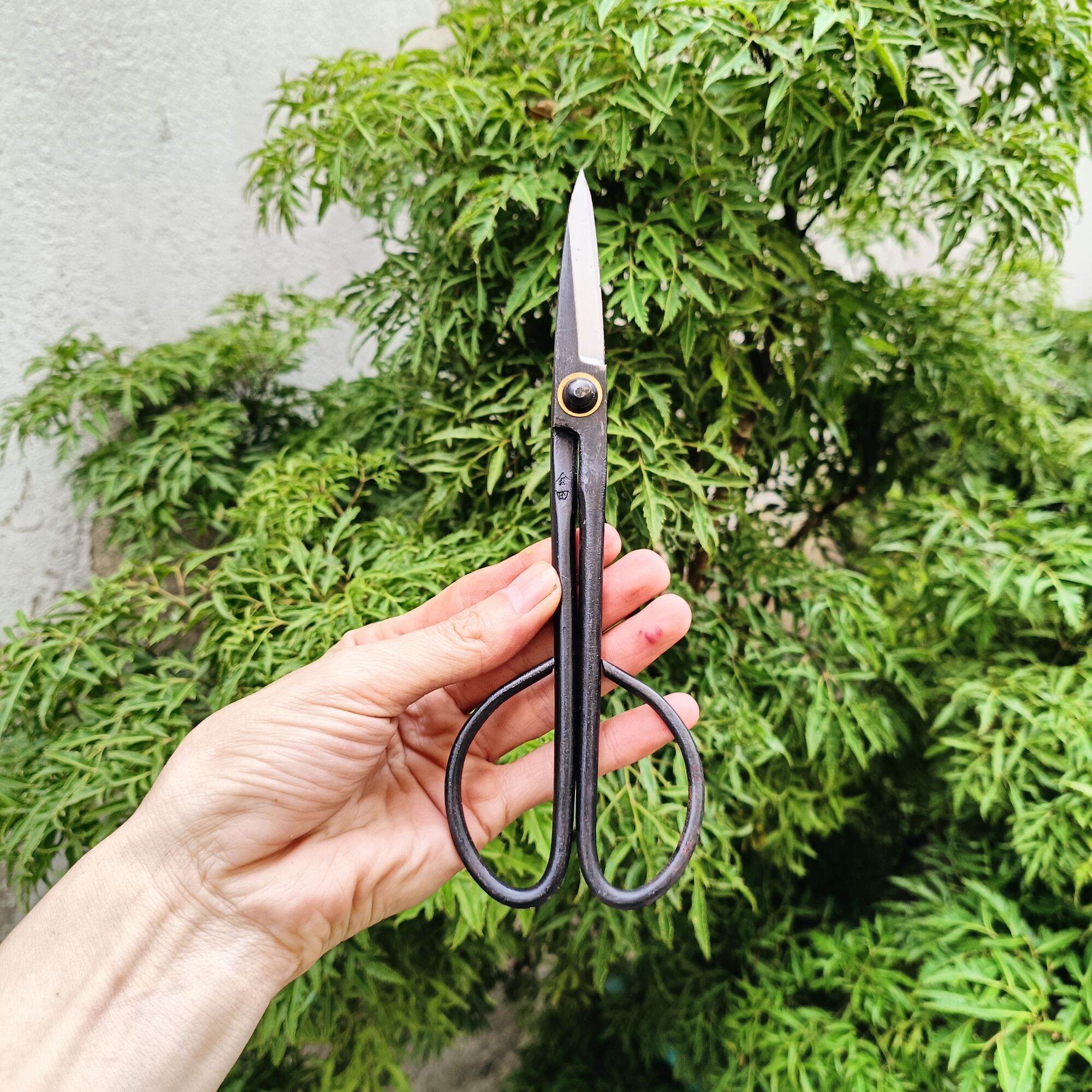 kéo tỉa cành tỉa dăm bonsai