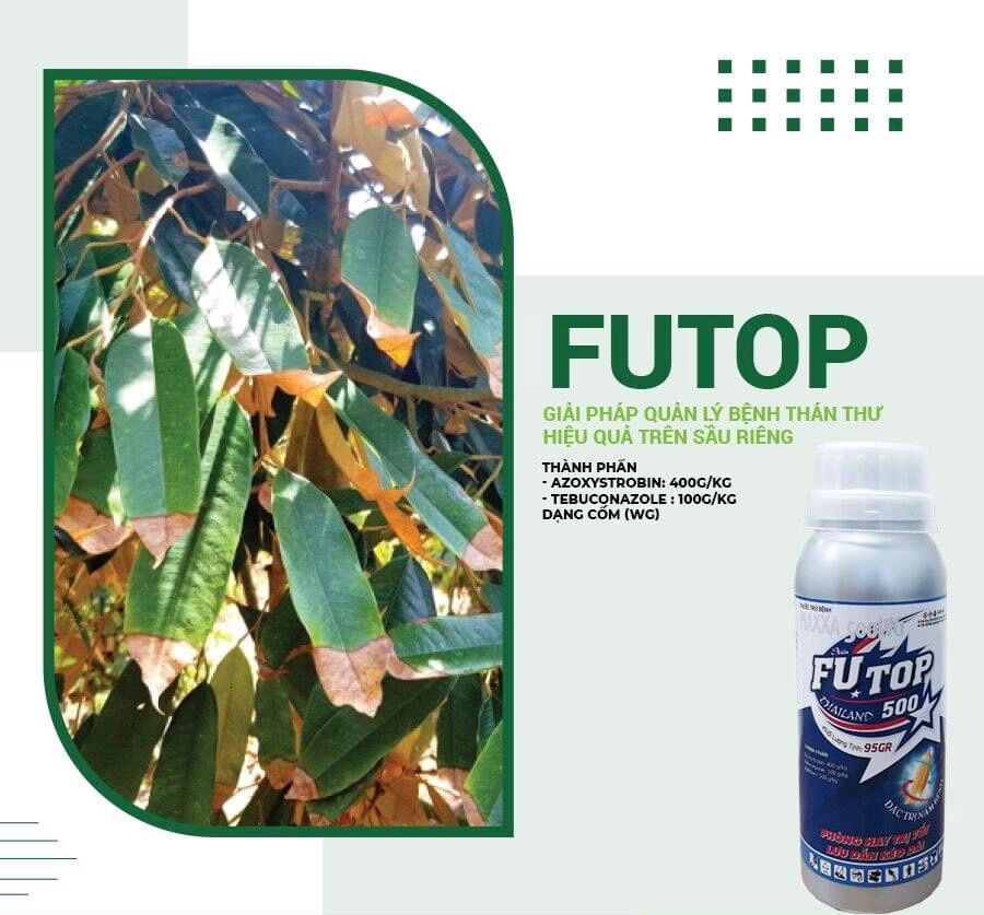 Thuốc trừ bệnh FUTOP 500WG Azoxystrobin và Tebuconazole Dạng Cốm