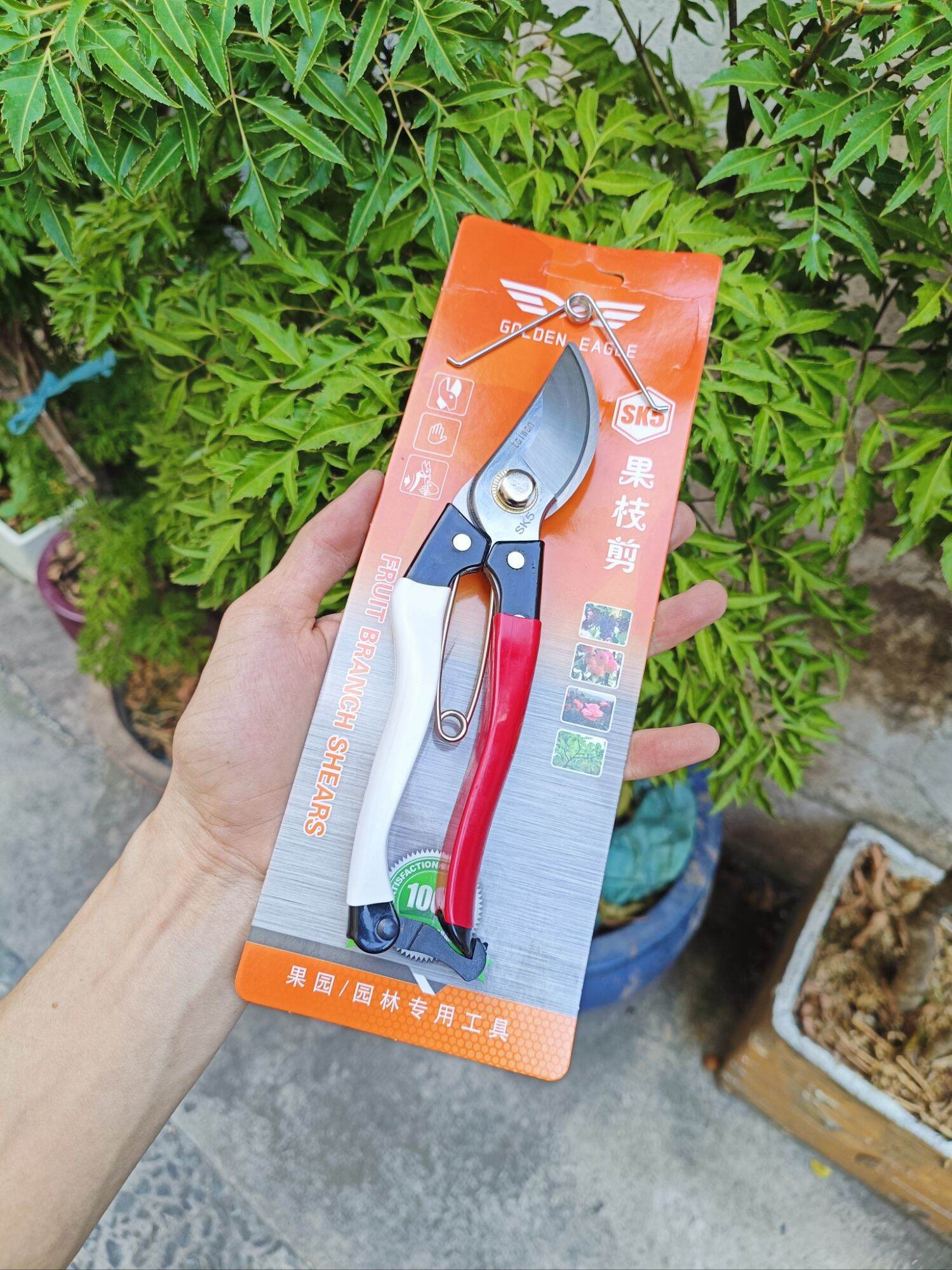 kéo cắt cành Taiwan cao cấp