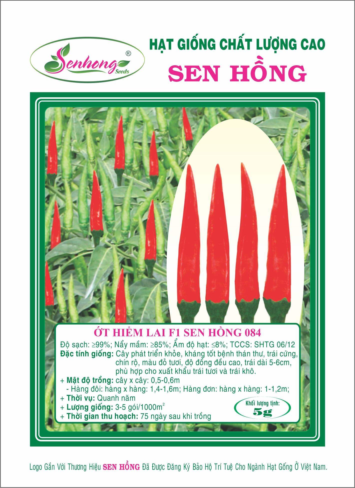 Hạt giống ớt sen hồng 084