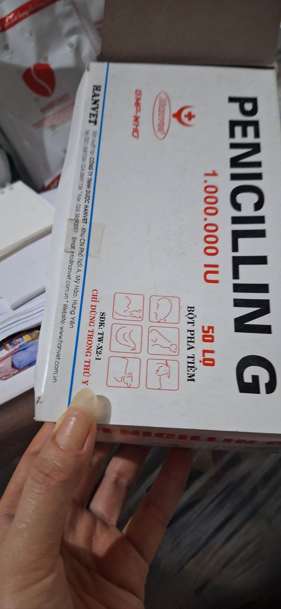 Penicillin G pha tiêm của hanvet ( 1 hộp/50 lọ)