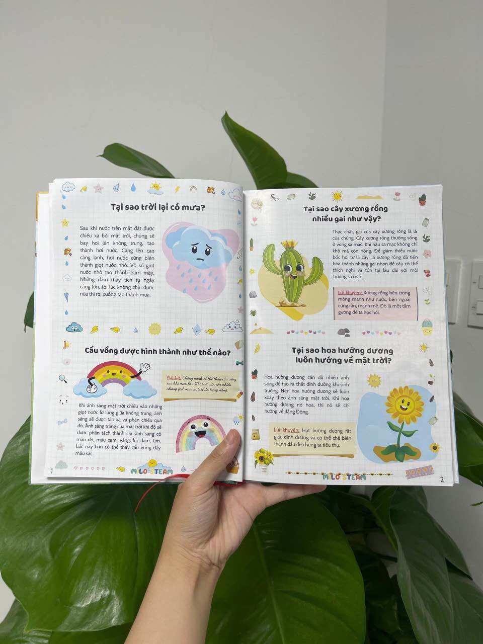 Bách khoa toàn thư (phiên bản hình minh họa)