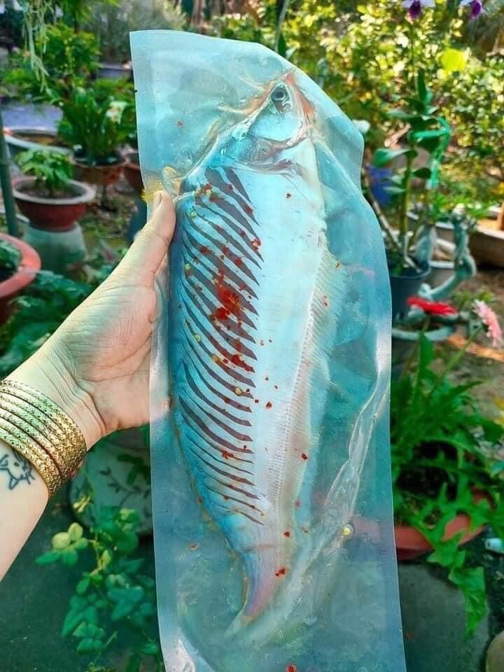 1kg 4 Pieces of Boneless Catfish (Express Delivery in Hcmc)