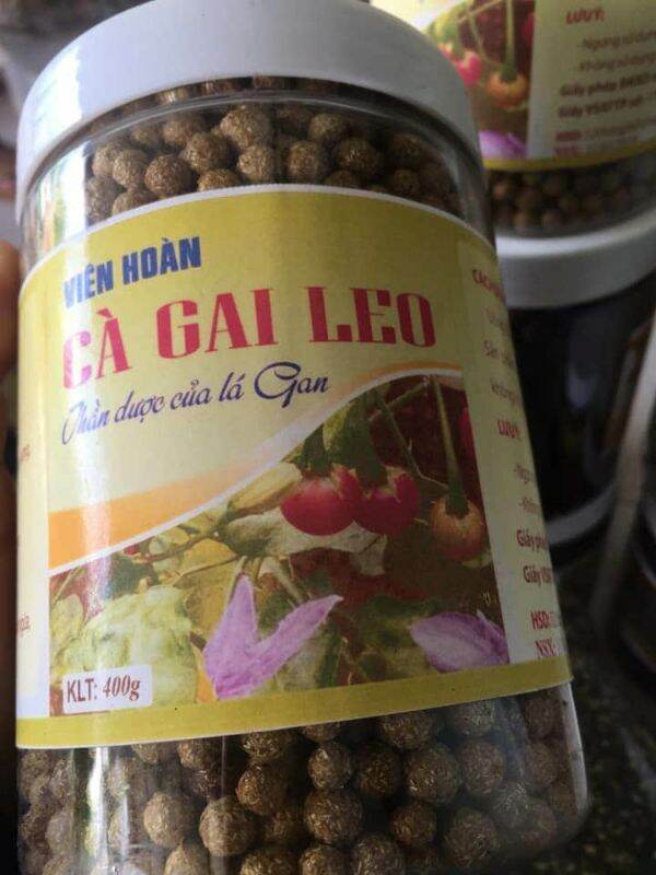 Hộp viên cà gai leo (1 hộp)