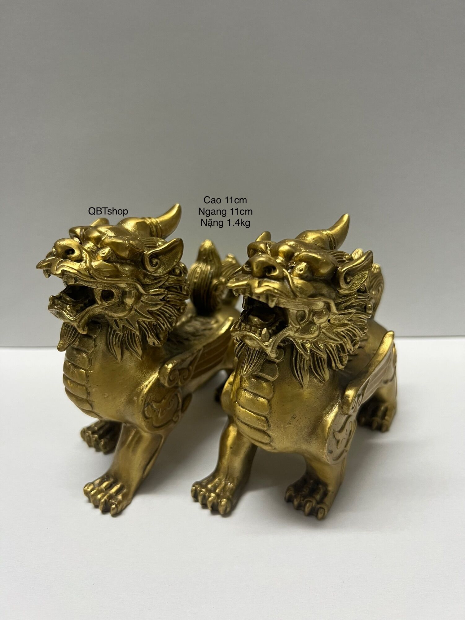 Cặp tỳ hưu đồng