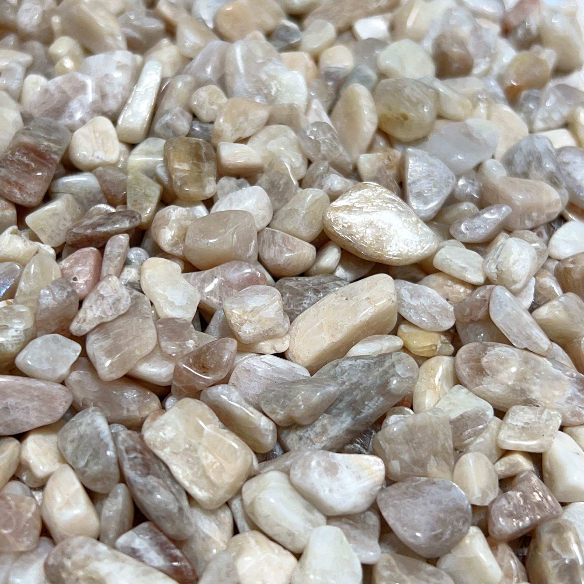 100g Vụn đá Moonstone - Đá mặt trăng tự nhiên
