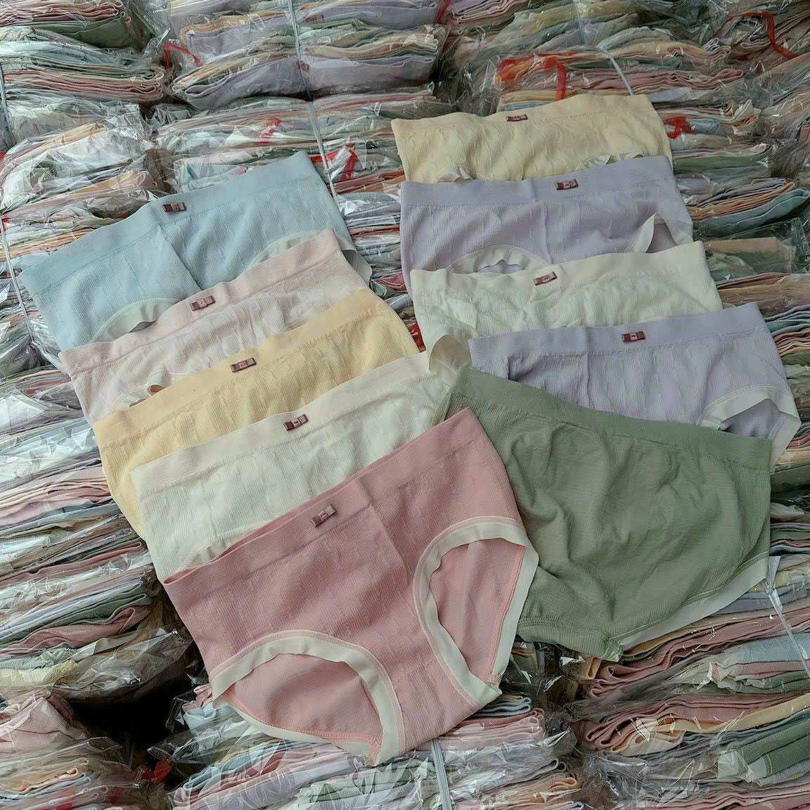 10 quần lót nữ, quần chíp cotton nhăn gạo