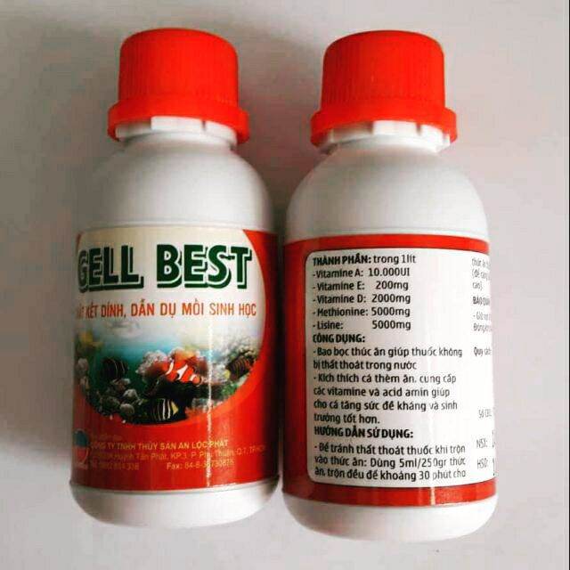 Chất kết dính gel best