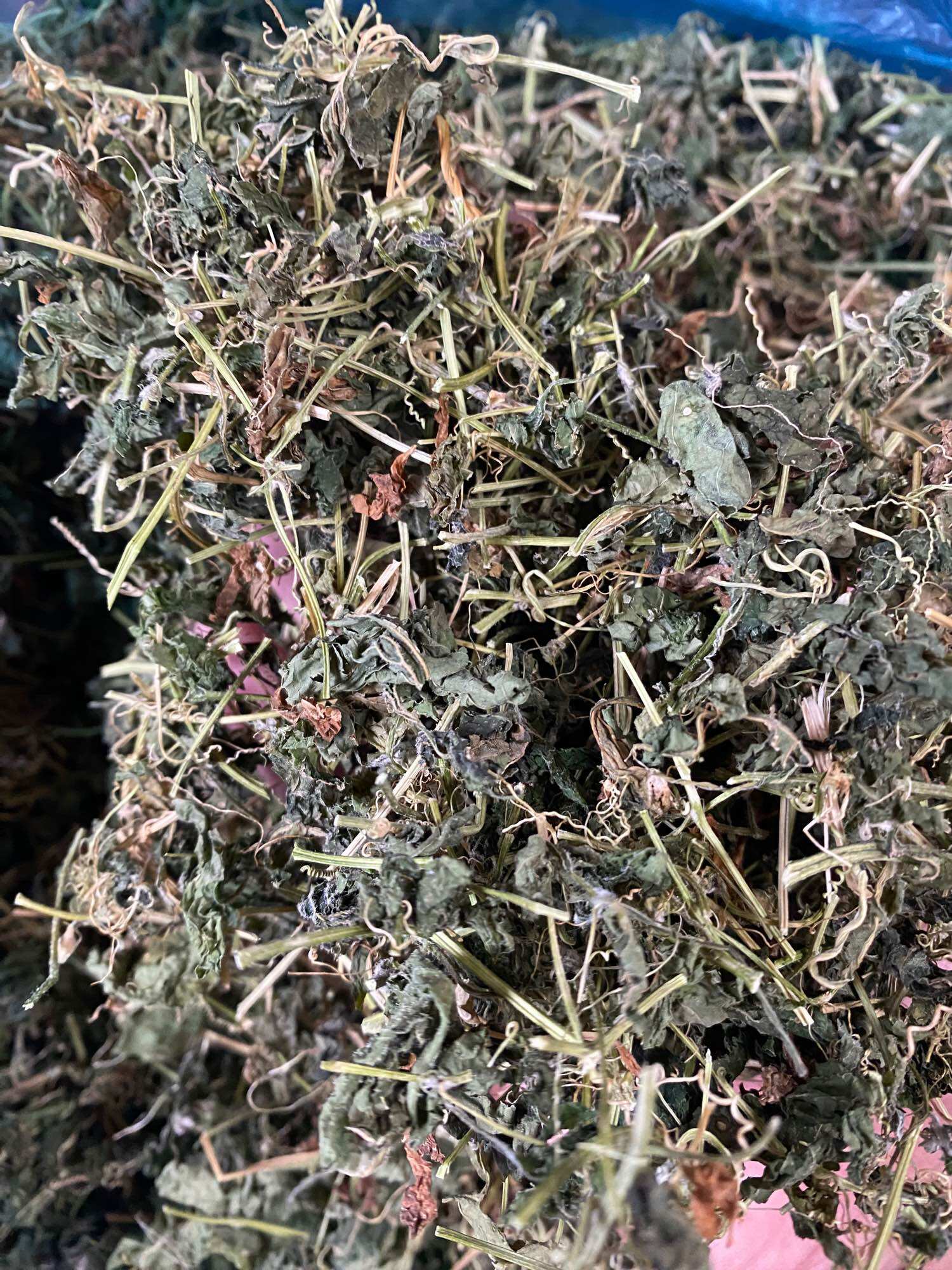 500g Trà Thảo Mộc Khổ Qua Rừng