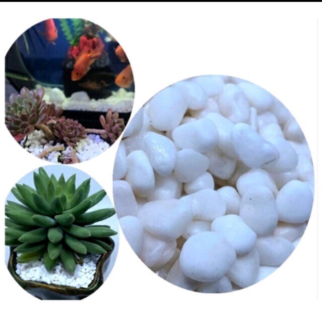 1kg đá trắng trang trí tiểu cảnh, bonsai, bể cá, đá trắng cao cấp