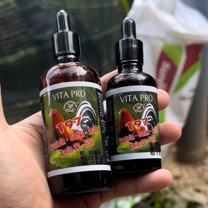[TRẠI GÀ TUẤN BẾN TRE] Thuốc nuôi T97 MẪU MỚI nuôi gà tơ và gà chế độ chai 50ml, 100ml,Thuốc nuôi gà đá