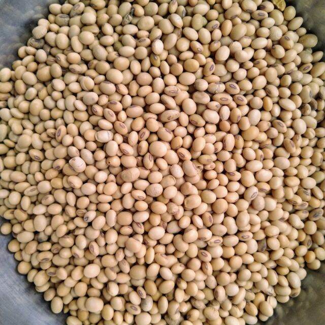 Đậu nành 500g