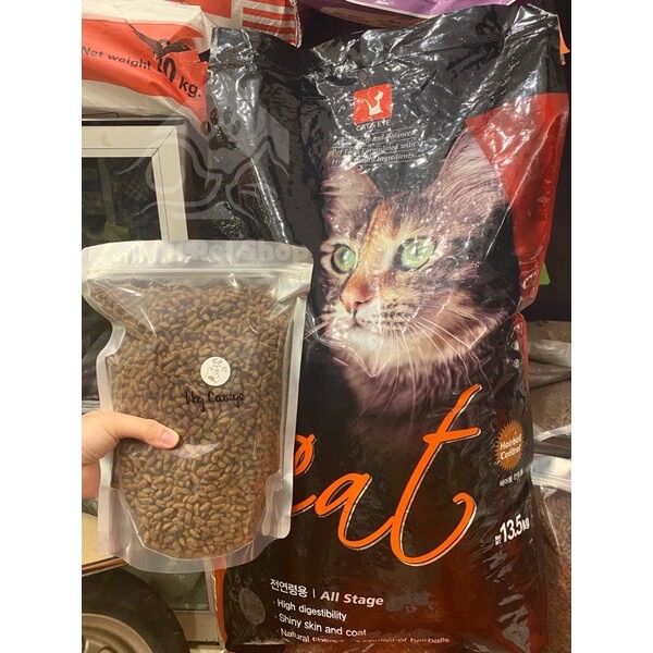 Hạt Catseye cho mèo 🐱