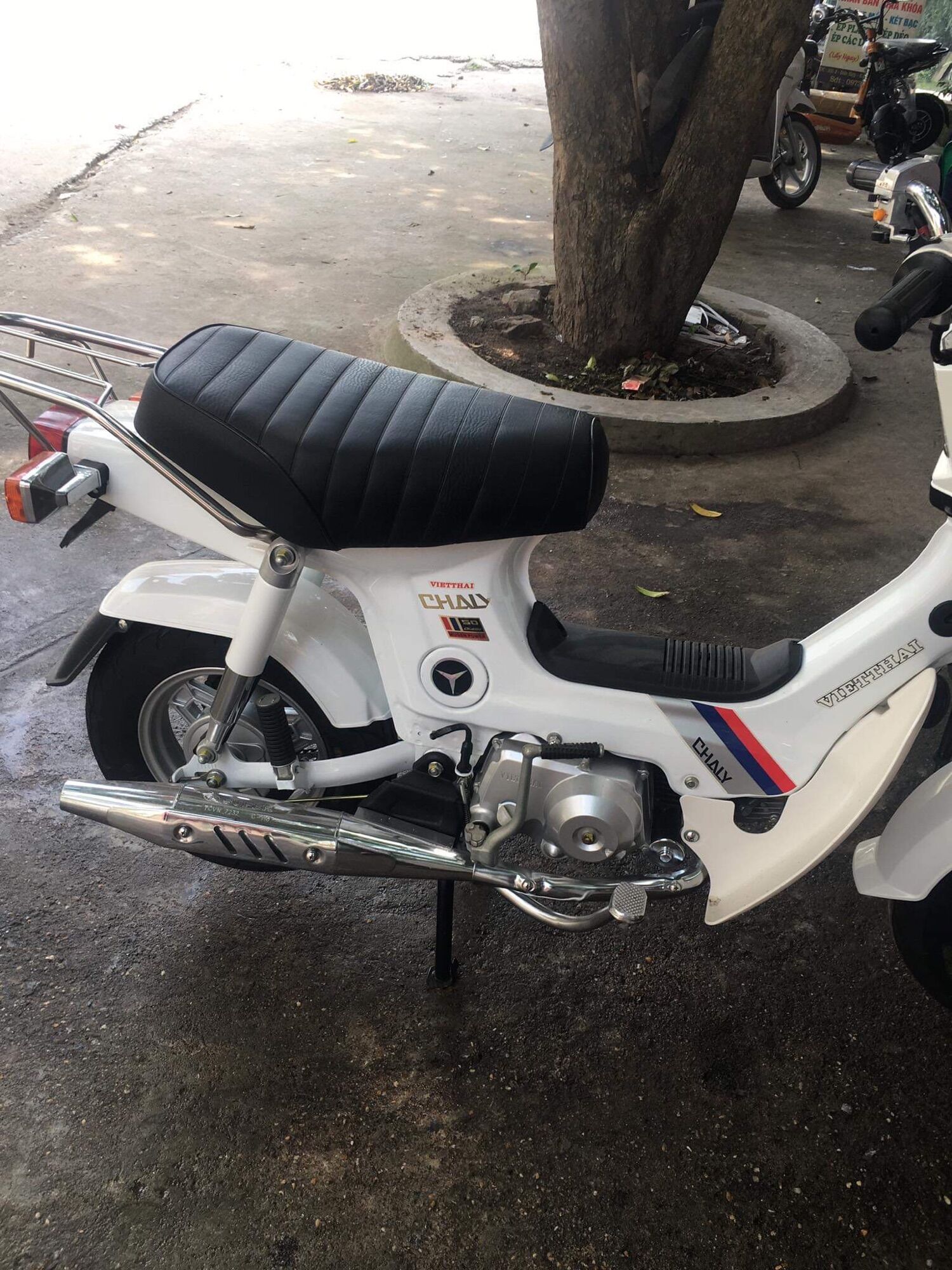 Giò đạp xe chaly 79,84