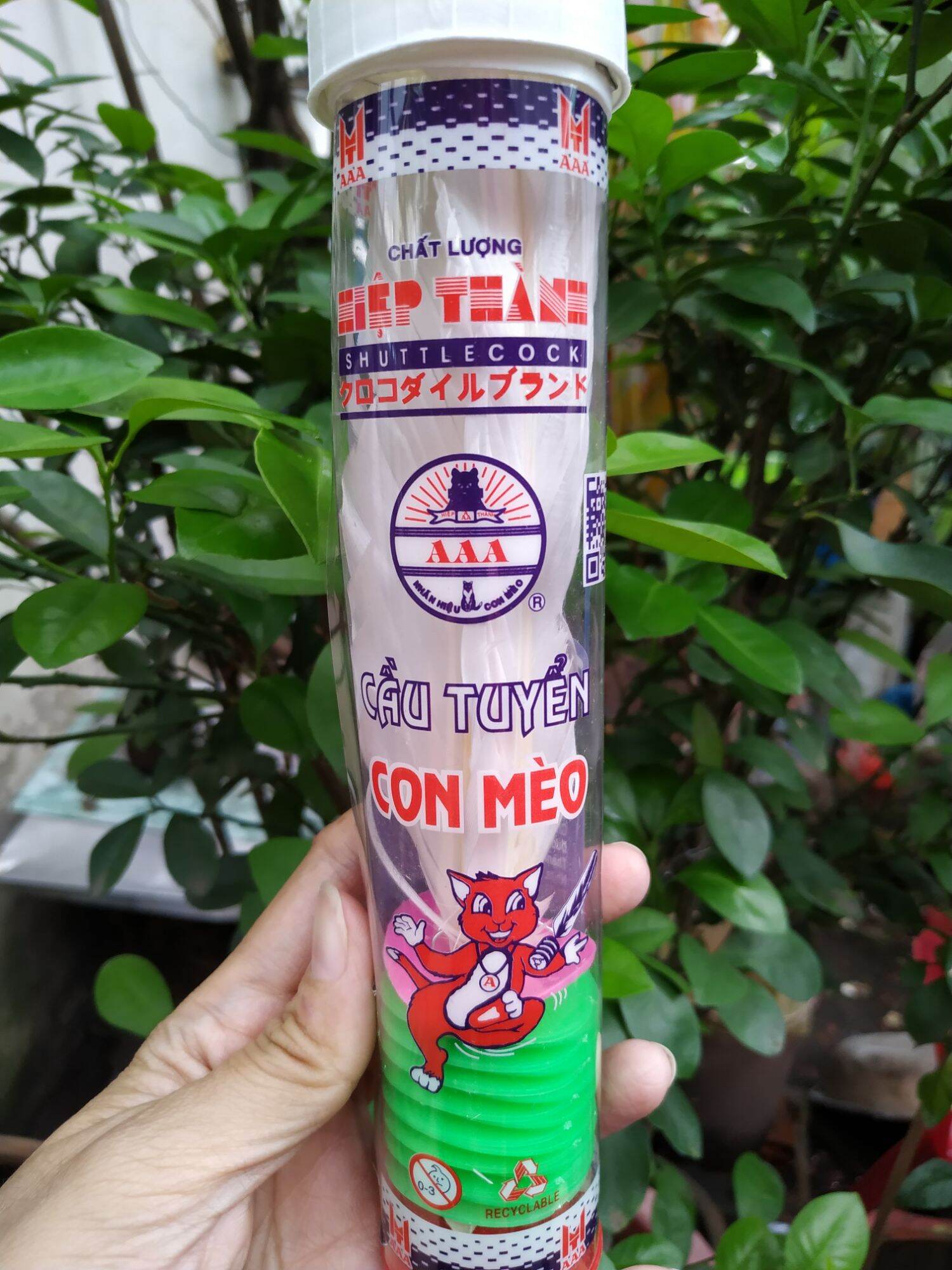 Cầu đá tuyển cá sấu hiệp thành
