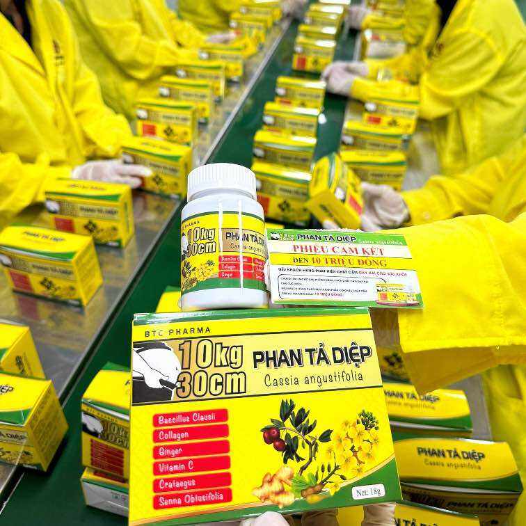 Đệ Nhất Giảm Mỡ Phan Tả Diệp giảm 10 kg - 30cm Cam kết Chính Hãng