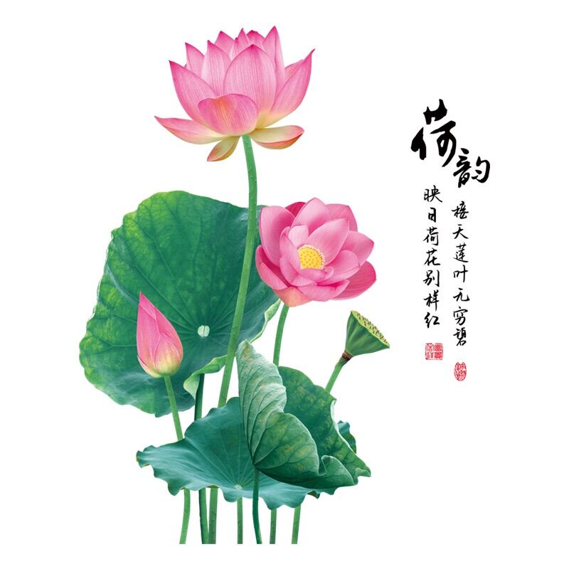 Tranh dán tường, Decal dán tường hoa sen (mẫu mới) siêu đẹp
