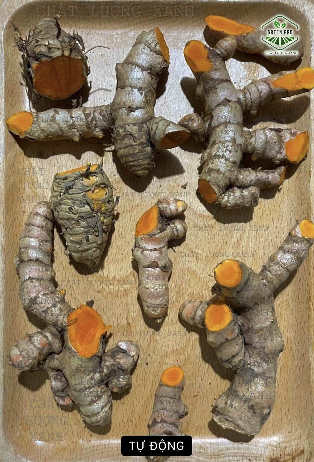 Nghệ đỏ tươi