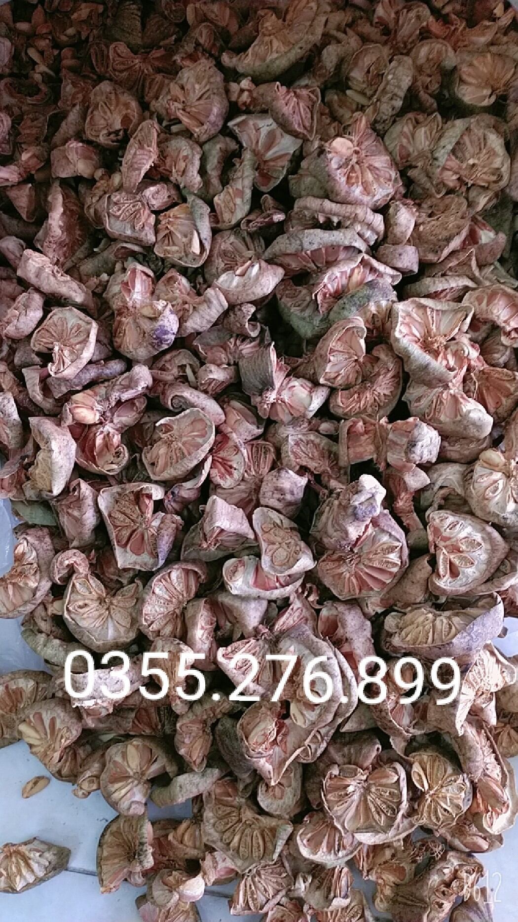 Quả bình bát khô ,sạch 1kg