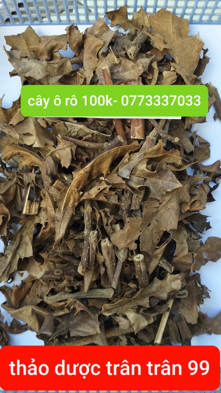 cây ô rô phơi khô 1kg