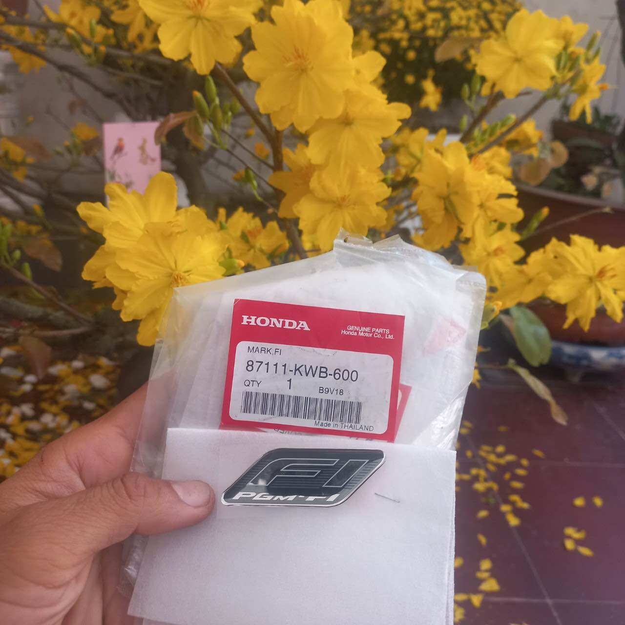 TEM CHỮ FI (1 chữ )