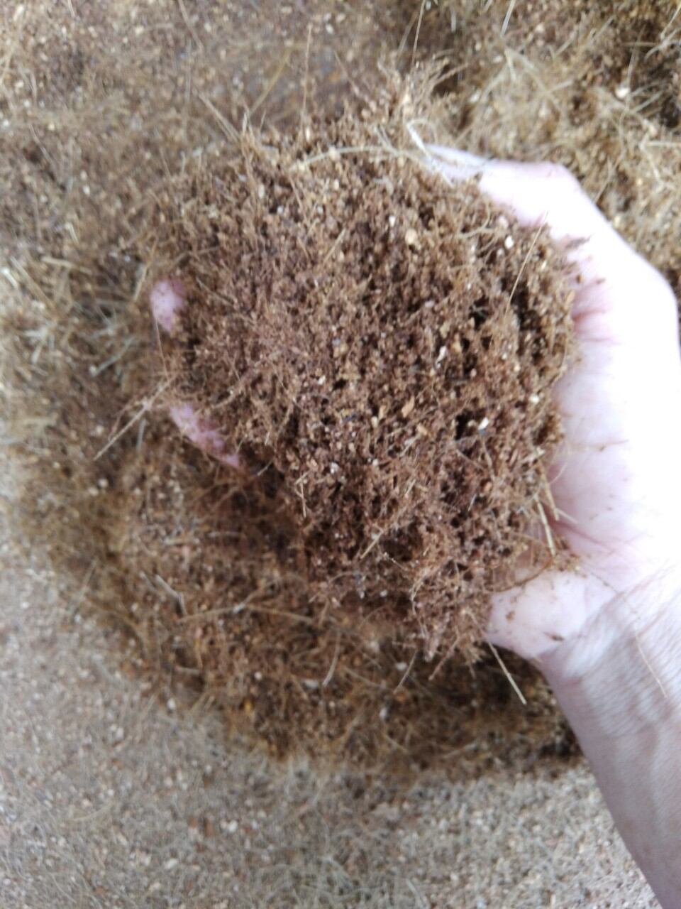 2kg mụn xơ dừa , giá thể trồng cây hoa , kiểng rau mầm..