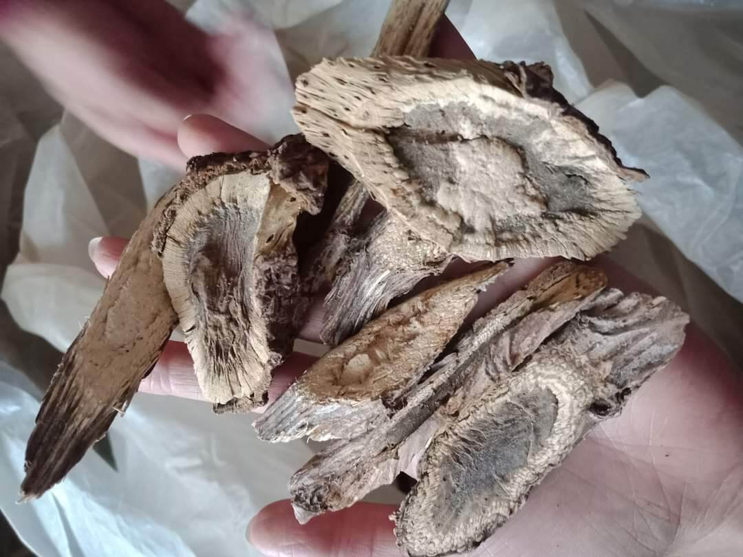 thân atiso khô 500g