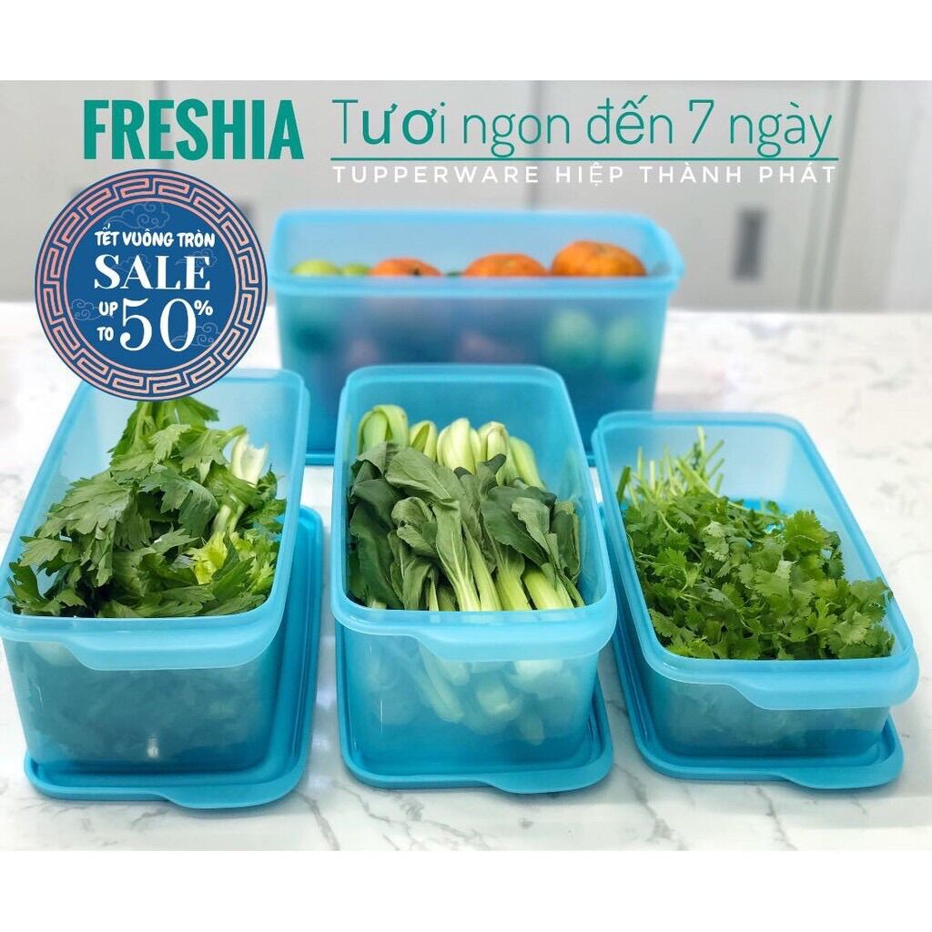 Bộ Trữ Mát Thực Phẩm  Freshia Tupp