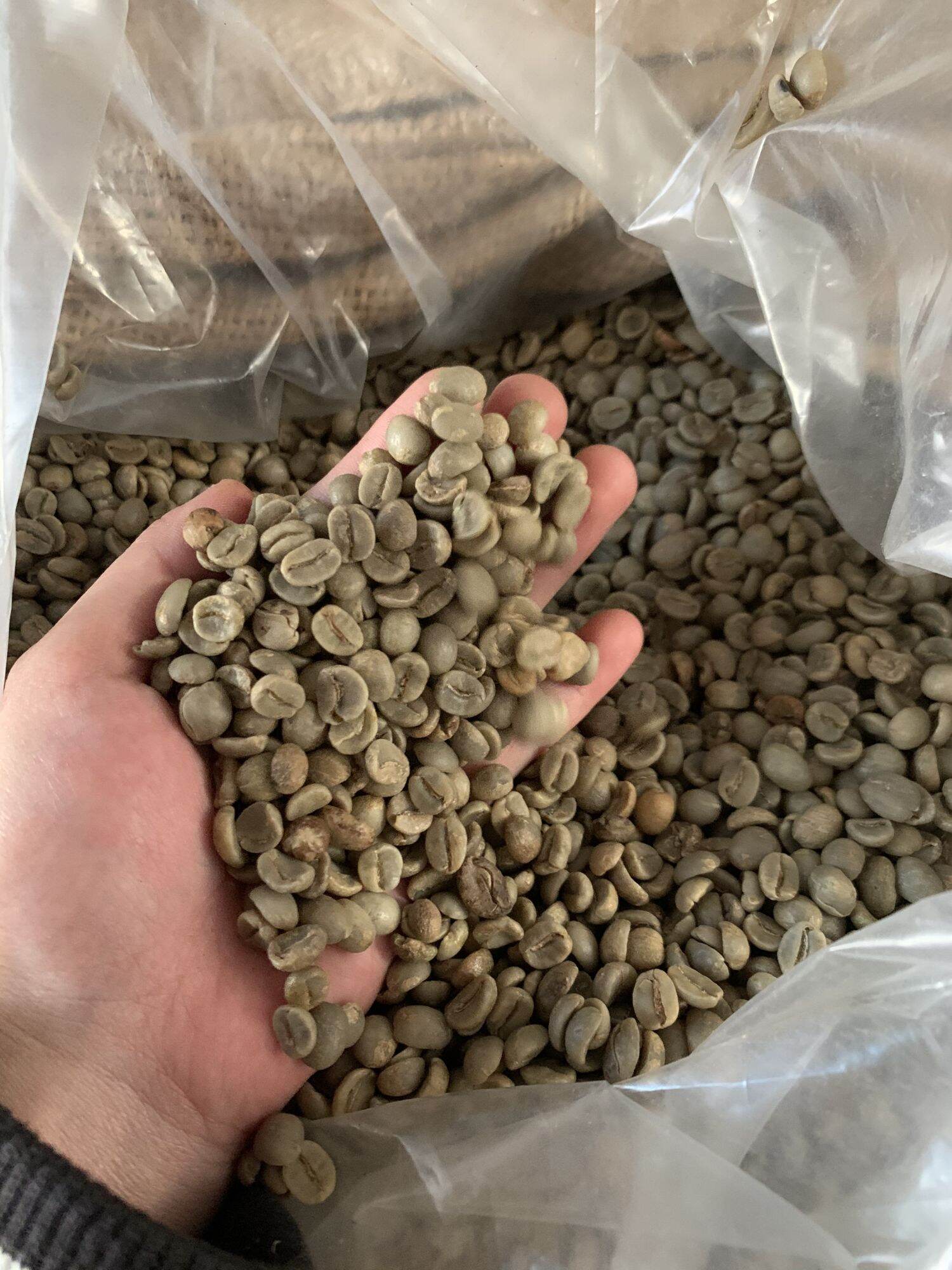 Cafe Robusta nhân sống BAN MÊ THUỘT 1kg