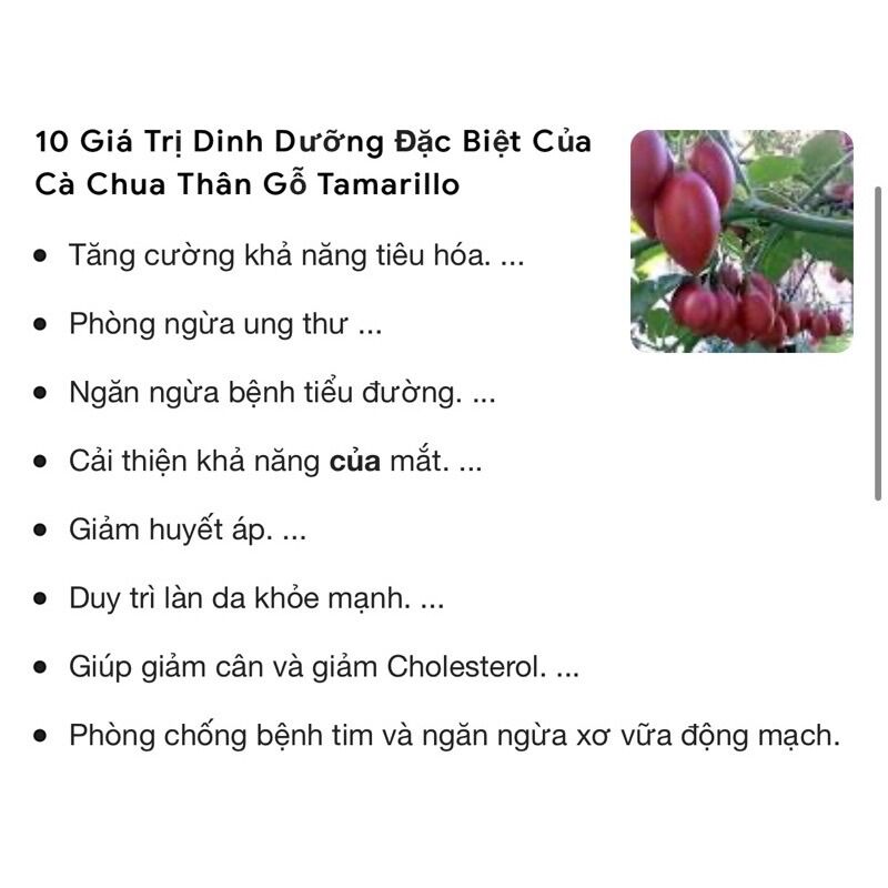 1KG CÀ CHUA THÂN GỖ