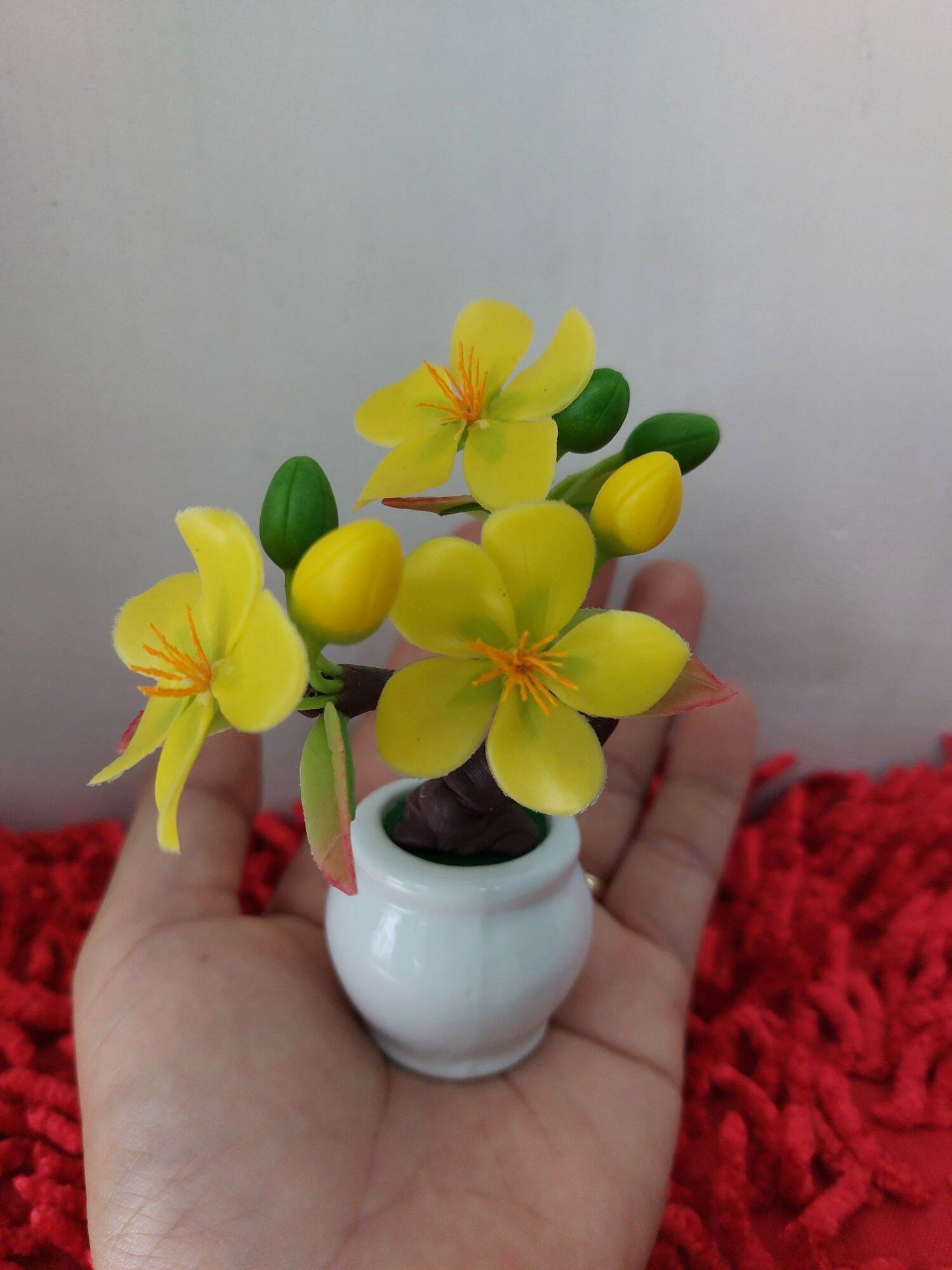 combo 5 chậu hoa đất sét mini cao 12cm đến 13cm