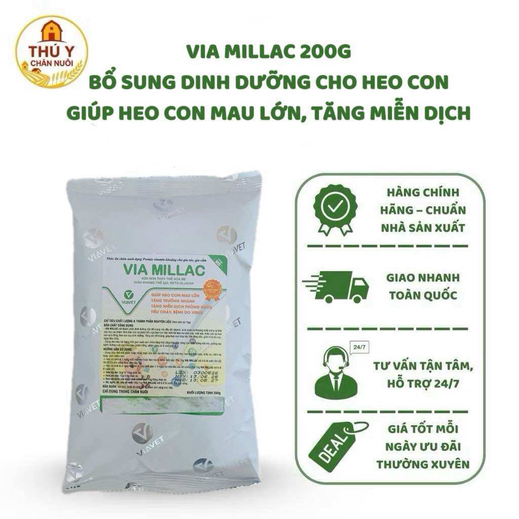 VIA MILIAC 200g Sữa non thay thế sữa heo me có kháng thể IgG, Beta-1,6-Glucan, giúp hỗ trợ heo con mau lớn tăng trưởng nhanh, tăng miễn dịch phòng ngừa, tiêu chảy bệnh viêm đường hô hấp, tiêu hóa tốt.