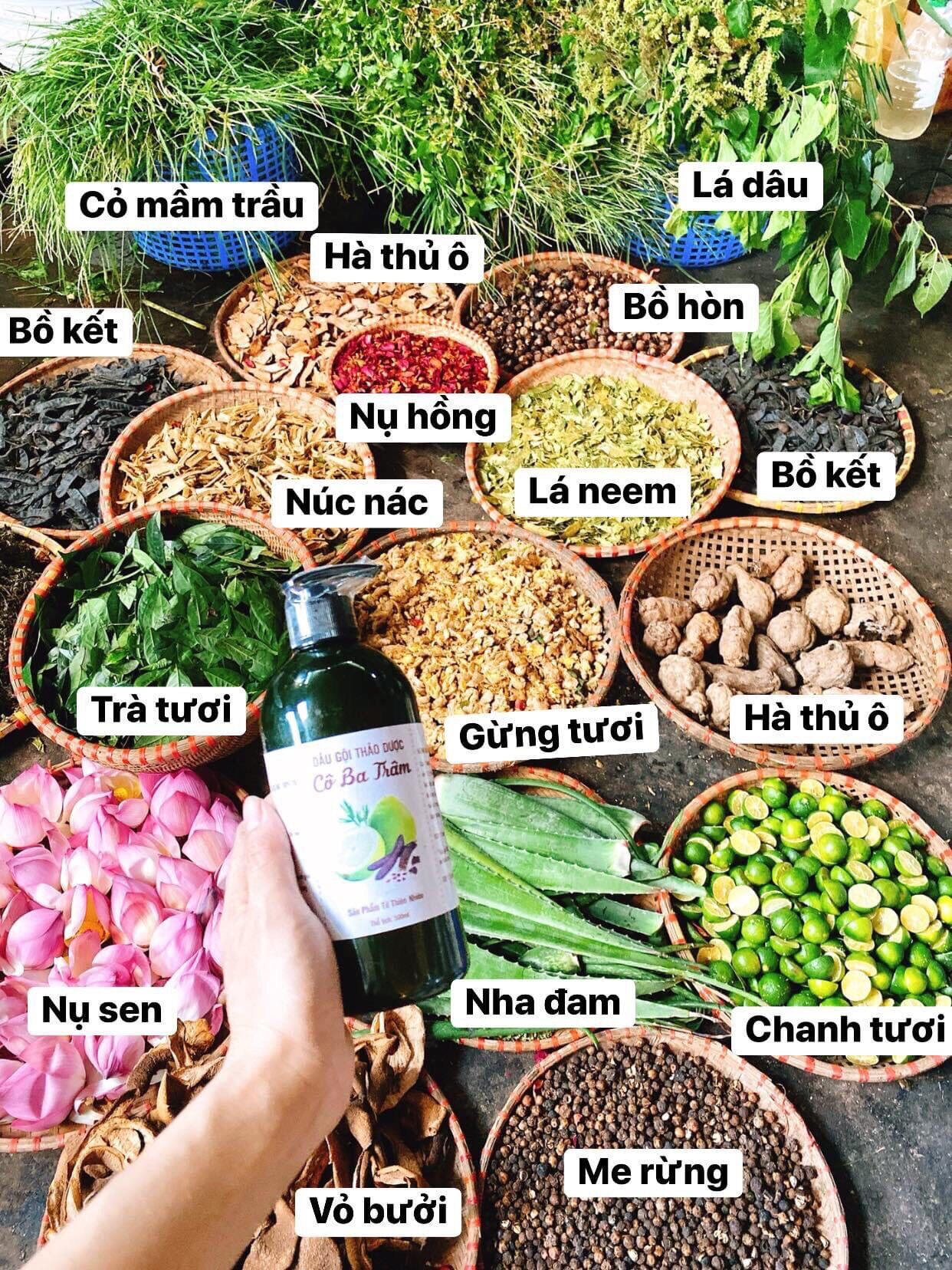 Dầu gội Bồ Kết Thảo Dược Cô Ba Trâm
