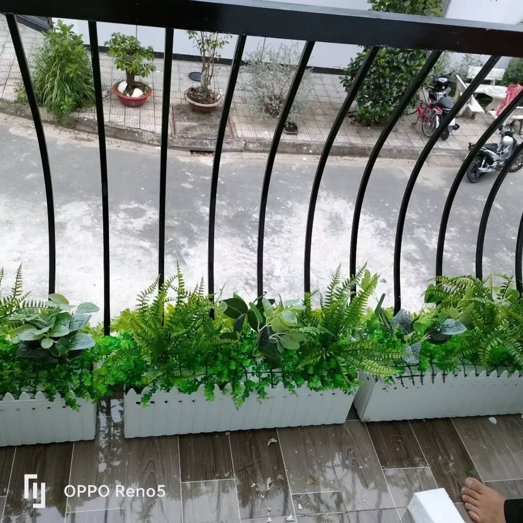 Chậu hàng rào nhựa size lớn dài 60cm