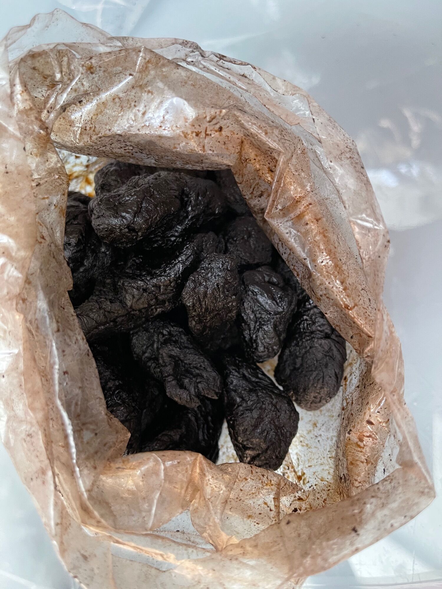 100gr thục địa