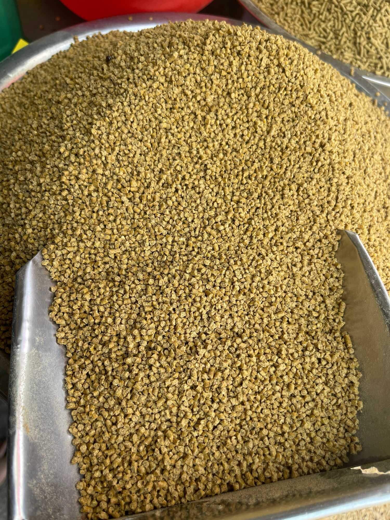 Cám viên mãnh cho gà vịt con mới nở 1kg gà ăn mau lớn