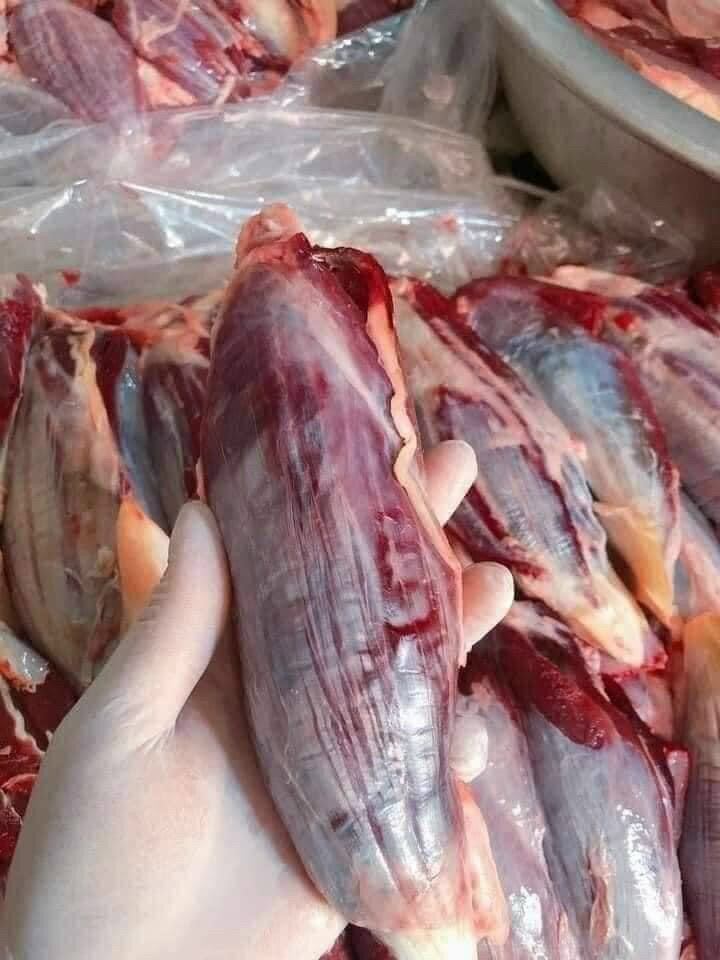 1kg Bắp Bò hoa (hỏa tốc tphcm)