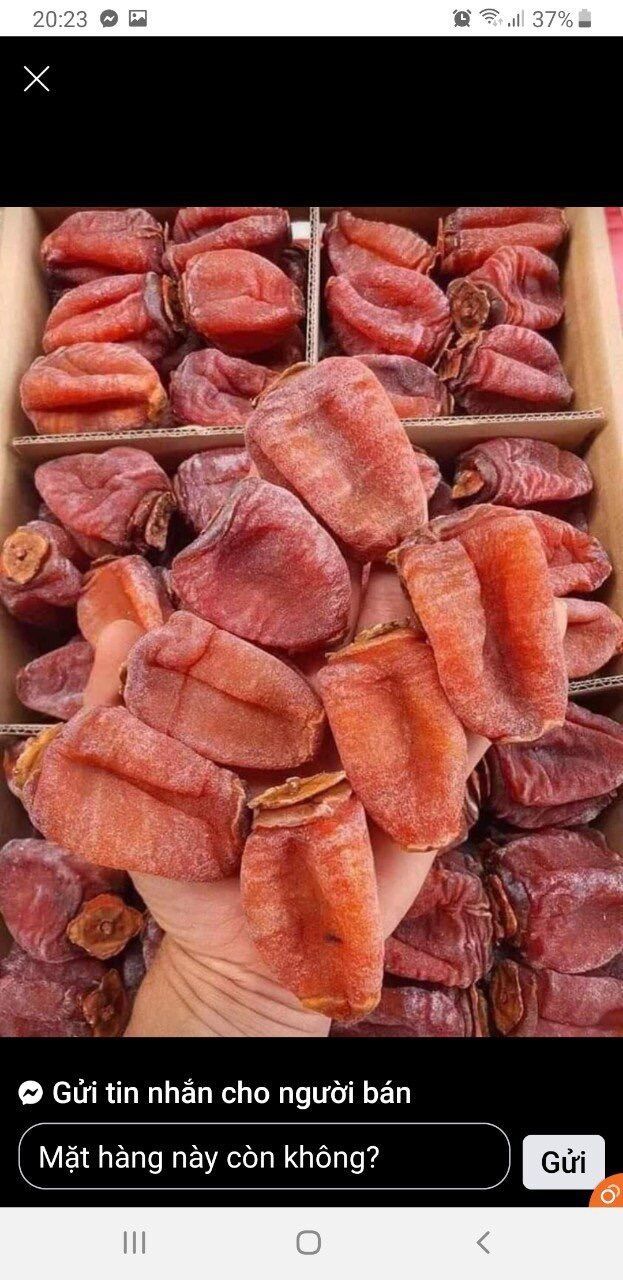 500gr Hồng treo gió Đà Lạt